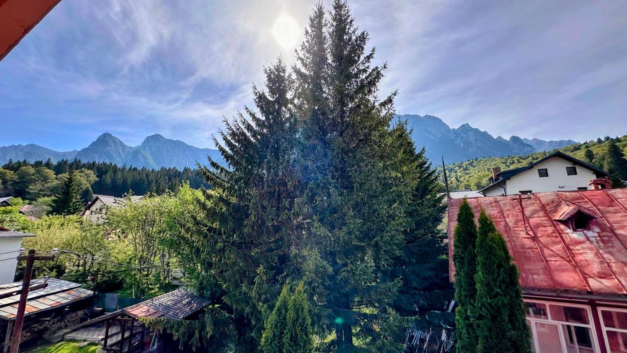 Hotel Valea Alba View - Self Check-In Buşteni Exteriér fotografie