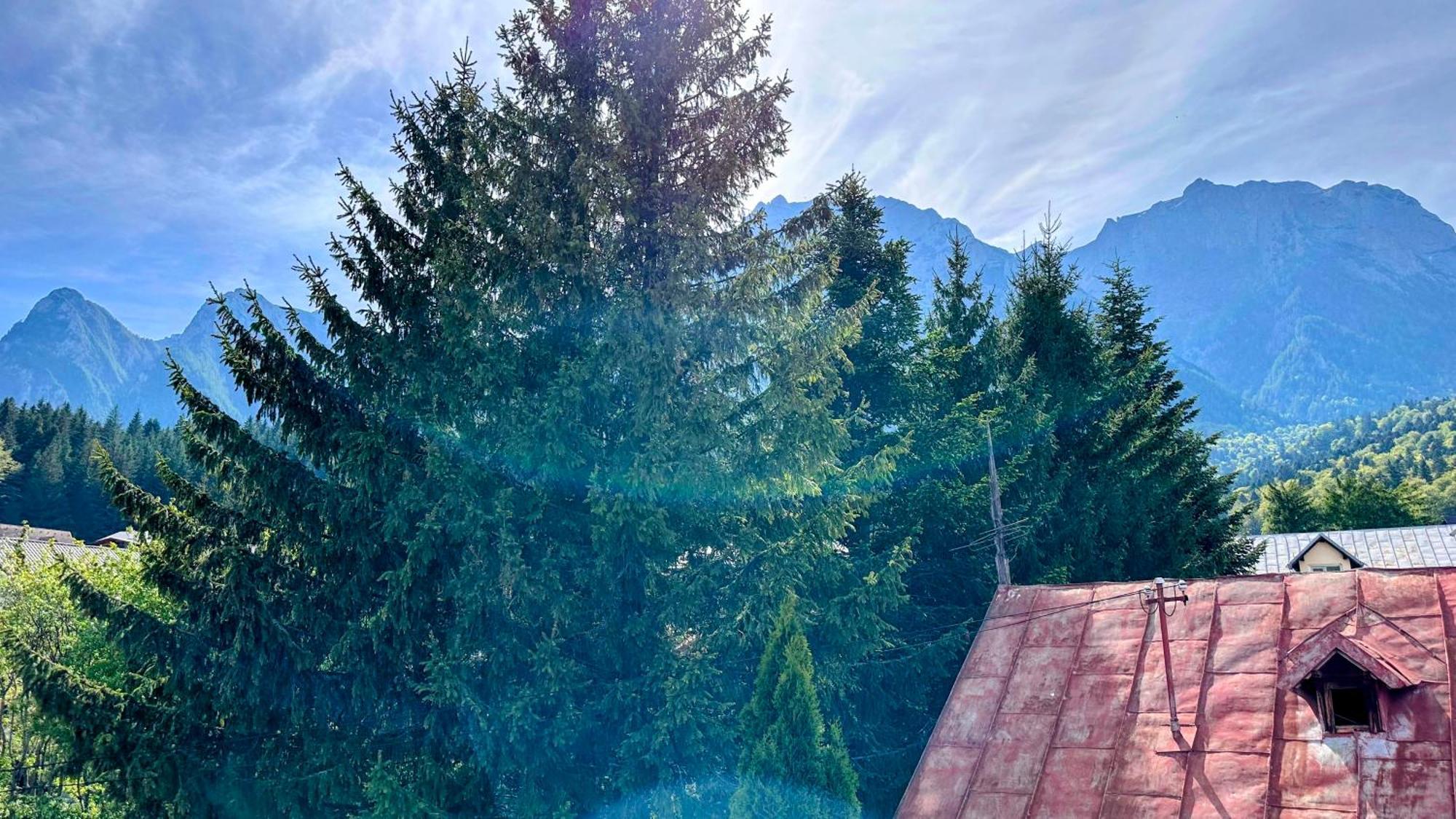 Hotel Valea Alba View - Self Check-In Buşteni Exteriér fotografie